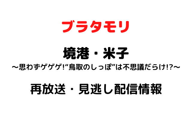 ブラタモリ「境港・米子」テキスト,画像