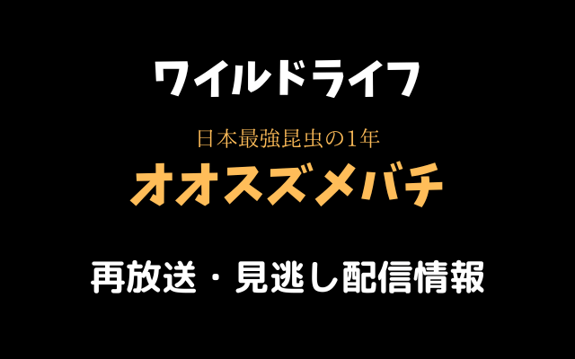 ワイルドライフ「スズメバチ」テキスト画像