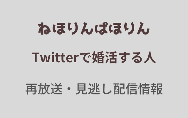 ねほりんぱほりん「Twitterで婚活する人」テキスト,画像